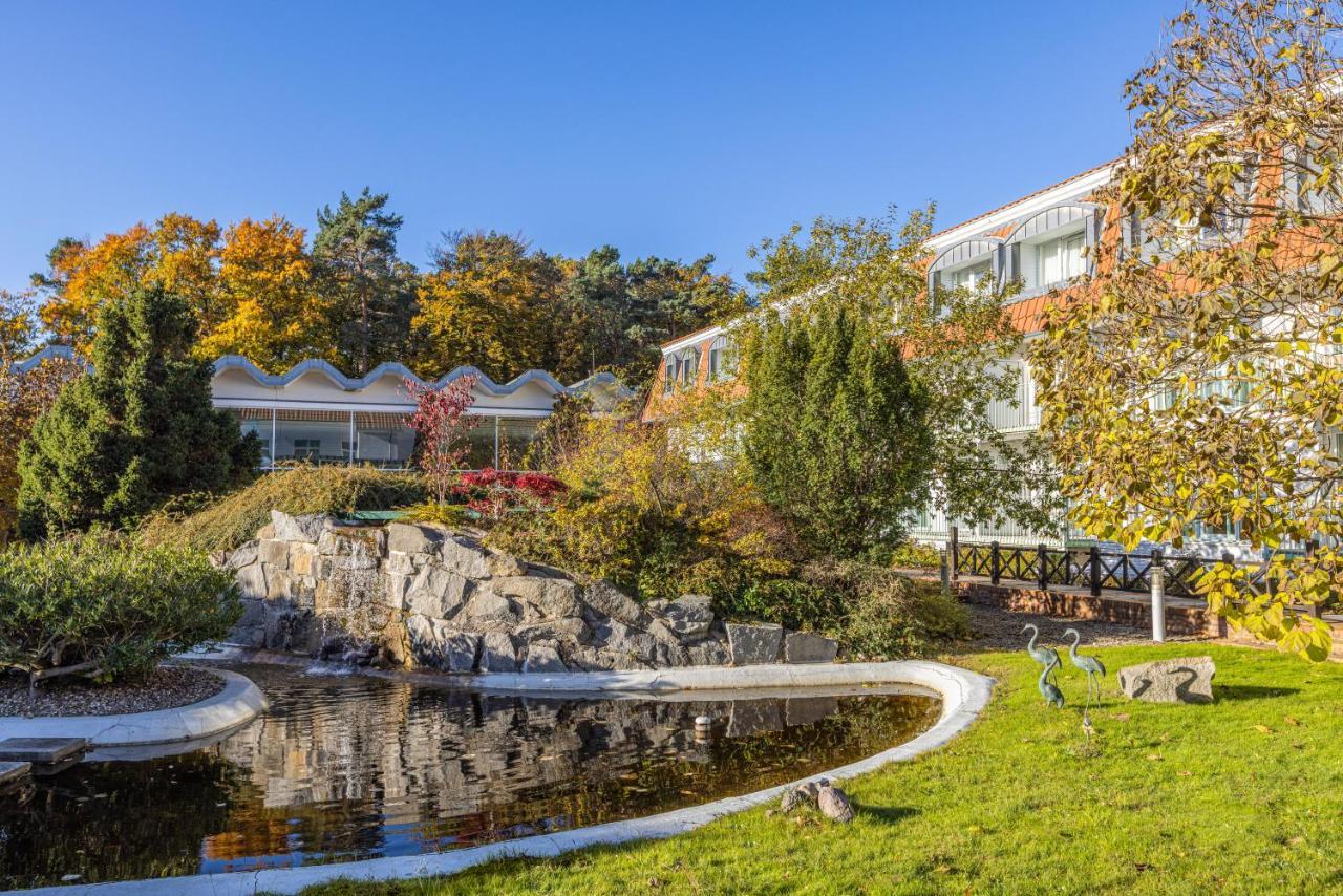 Ifa Graal-müritz Hotel&spa 4*